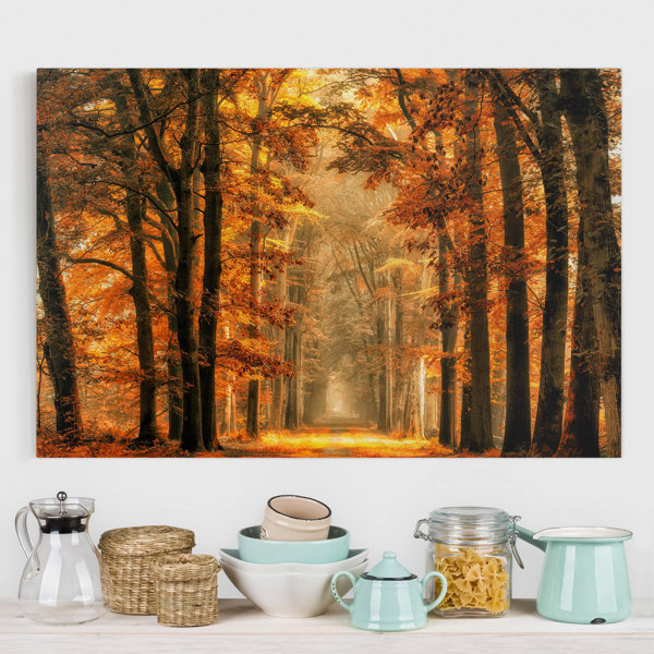 Union Rustic Leinwandbild Märchenwald Im Herbst Wayfair de